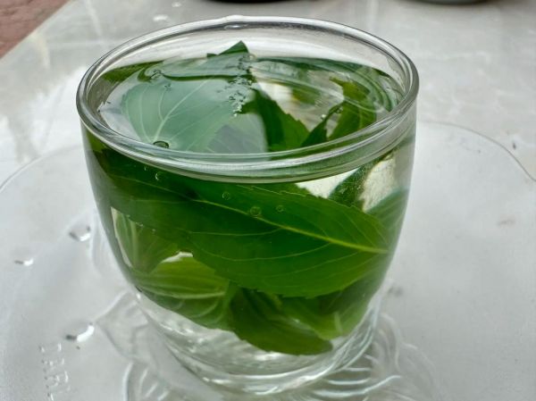 薄荷葉泡茶，薄荷葉泡水喝對(duì)健康有什么好處？