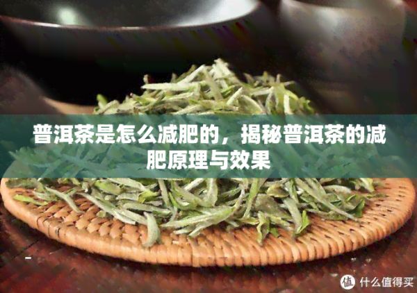 普洱茶是怎么減肥的，揭秘普洱茶的減肥原理與效果