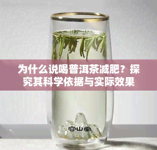 為什么說(shuō)喝普洱茶減肥？探究其科學(xué)依據(jù)與實(shí)際效果