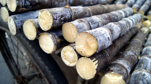 原地踏步減肥法真的很有效果嗎?