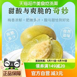 Sai yuan 賽園 脆梅脆青梅酸甜爽口梅200g低脂青口梅獨(dú)立包裝蜜餞果脯小零食