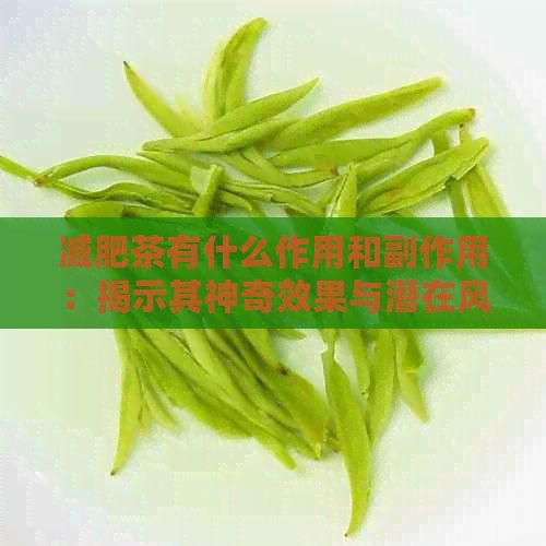 減肥茶有什么作用和副作用：揭示其神奇效果與潛在風(fēng)險(xiǎn)