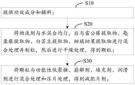 一種減肥片劑及其制備方法與流程