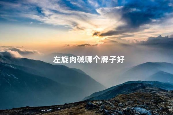 左旋肉堿哪個牌子好