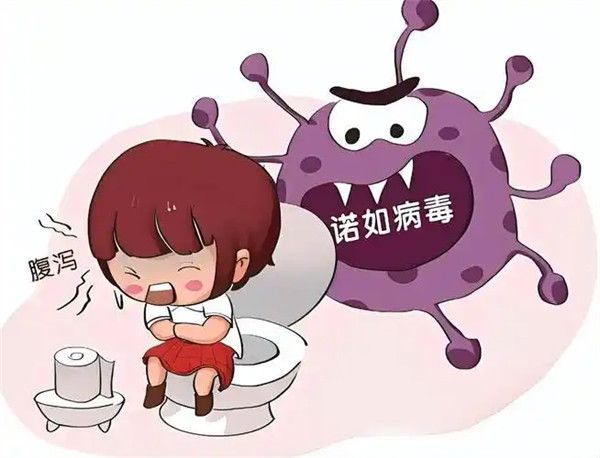 諾如病毒的主要癥狀和傳播途徑介紹