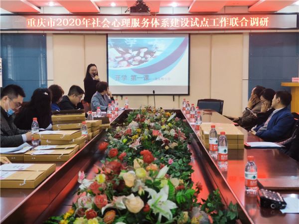 代表江北區(qū)接受市社會(huì)心理服務(wù)體系調(diào)研.JPG