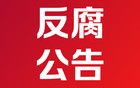 国家能源局华北监管局党组书记、局长童光毅被查