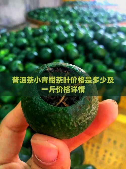 普洱茶小青柑茶葉價(jià)格是多少及一斤價(jià)格詳情
