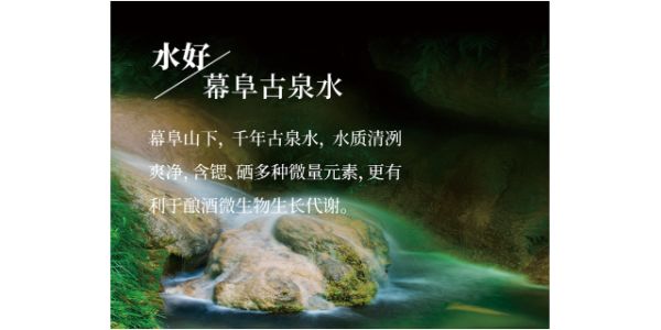 玉米健康白酒價(jià)格行情,健康白酒