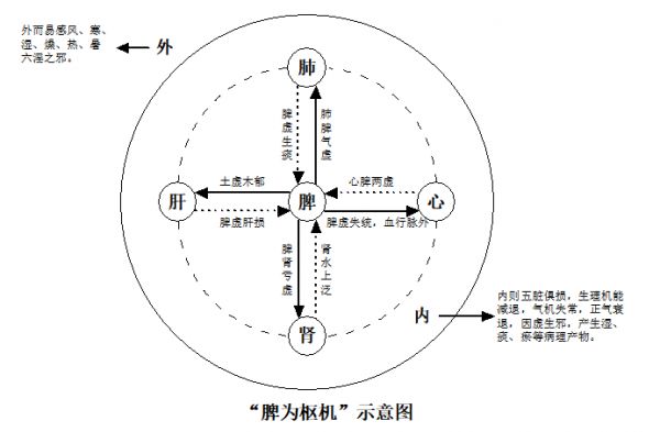 中醫(yī)藥防治艾滋?。簩崿F(xiàn)終結(jié)艾滋病公共衛(wèi)生威脅的有效手段