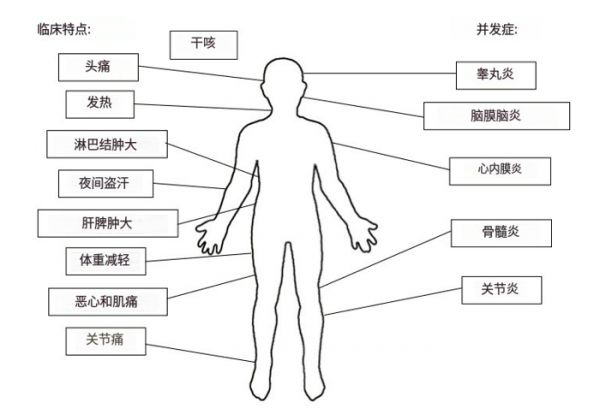 備孕吃羊胎盤大補(bǔ)？真實(shí)案例：吃完胎盤，差點(diǎn)流產(chǎn)……