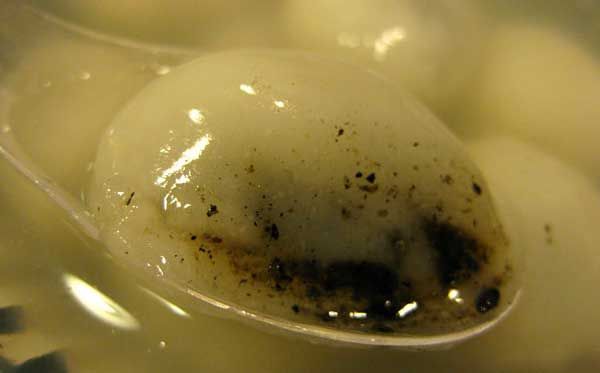 重慶小湯圓做法