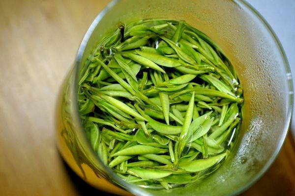 綠茶沖泡9個步驟，沖泡綠茶的正確方法