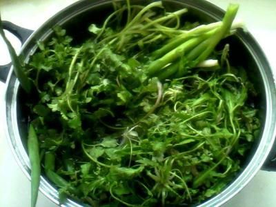 吃荠菜会不会导致拉肚子