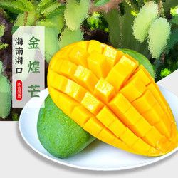 享味觀 海南現(xiàn)摘現(xiàn)發(fā)熱帶金煌芒中小果 3斤