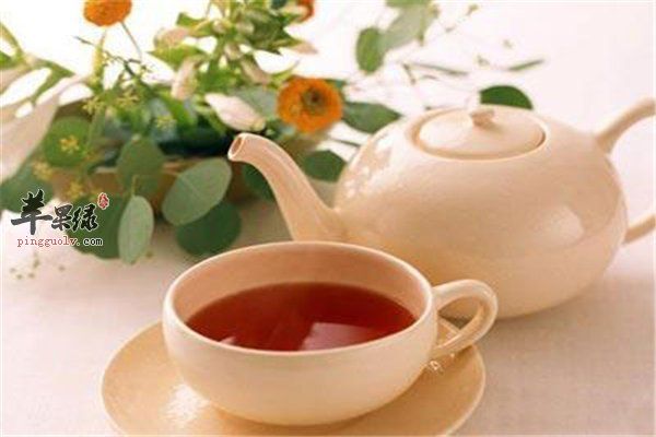 喝茶有益身體健康 黃芪紅棗茶的完美搭配