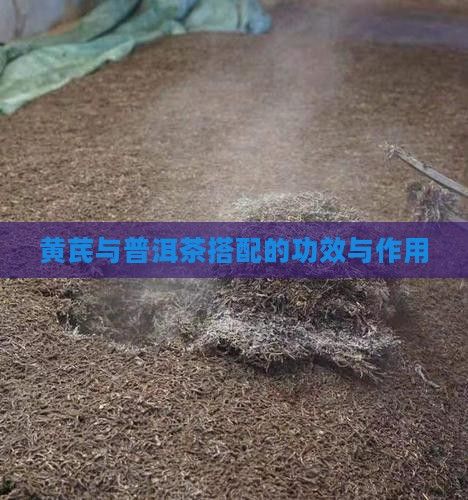 黃芪與普洱茶搭配的功效與作用