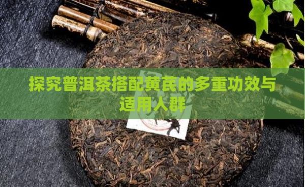 探究普洱茶搭配黃芪的多重功效與適用人群