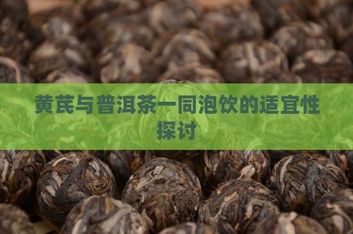 黃芪與普洱茶一同泡飲的適宜性探討
