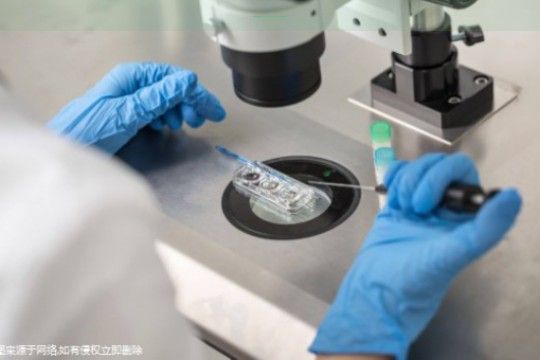 〖北京三代试管婴儿哪家私立机构排名较好成功率是多少,因各种因素而异!〗