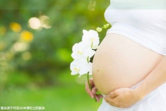 〖沙棘果：女性福音，助孕神奇〗