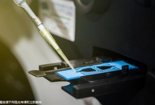 〖青皮橘子,青皮的橘子含糖分高不高養(yǎng)生〗