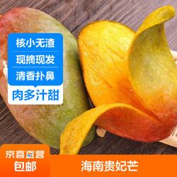 海南貴妃芒果 肉質(zhì)細(xì)嫩 高甜多汁芒果 當(dāng)季熱帶新鮮水果 帶箱2斤裝小果