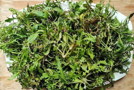 薺菜是涼性還是熱性 薺菜不能和什么一起吃嗎