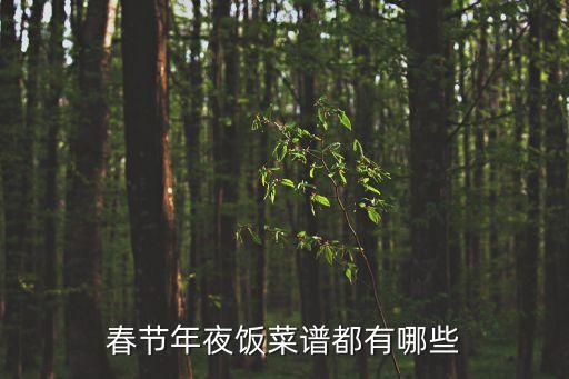 春节年夜饭菜谱都有哪些