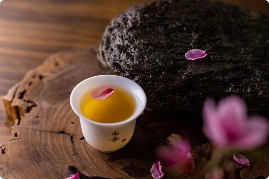 德昂族語言 文字有哪些的特征