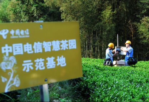 中国电信福建公司精准扶贫实实在在82