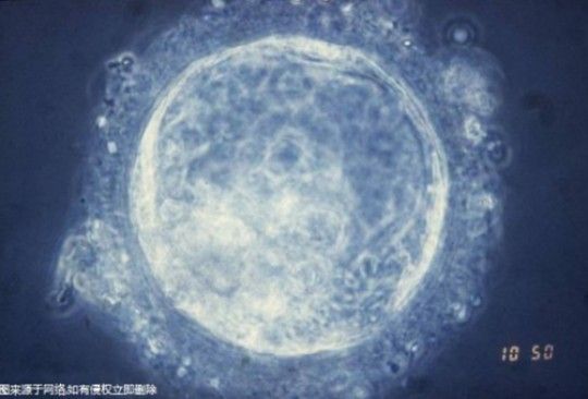 〖塑形瑜伽,塑形瑜伽養(yǎng)氣質(zhì)更養(yǎng)身材〗