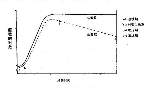 細(xì)菌的生長曲線