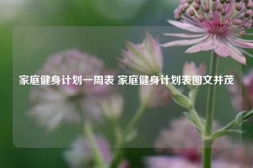 家庭健身計劃一周表 家庭健身計劃表圖文并茂