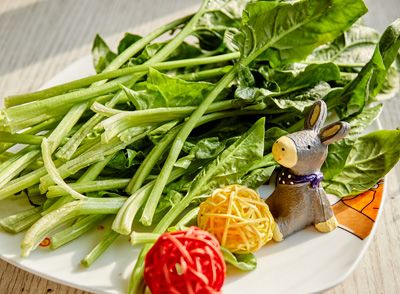 菠菜、羽衣甘藍(lán)和西蘭花，富含葉酸，有助于預(yù)防貧血和神經(jīng)系統(tǒng)疾病