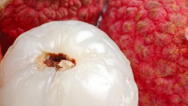 哪些水果可以吸收油脂 能促進(jìn)減肥的水果有哪些