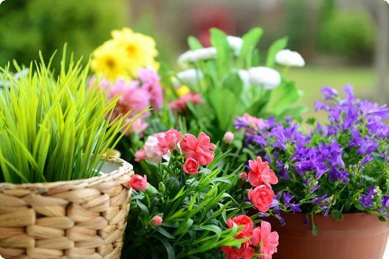 拔罐减肥法减去体内深层多余脂肪