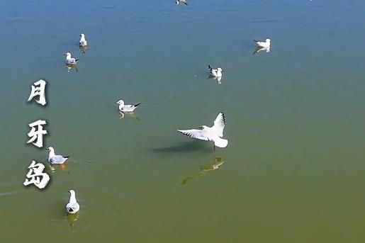 奮力追逐目標(biāo)，勇往直前——月牙島