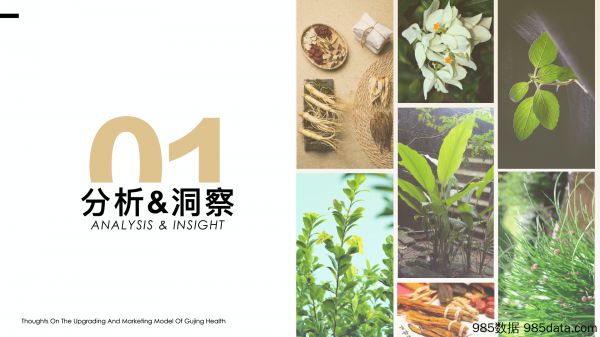 【大健康营销】酵素饮品品牌升级及营销策略大纲插图3