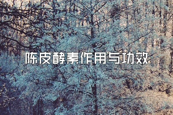 陳皮酵素作用與功效