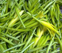 【干黃花菜炒肉】干黃花菜炒肉的做法-干黃花菜炒肉的營養(yǎng)價(jià)值
