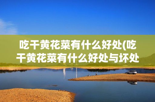 吃干黃花菜有什么好處(吃干黃花菜有什么好處與壞處)