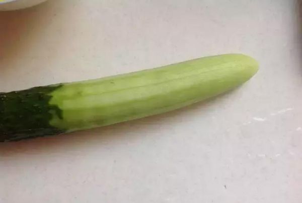 宝宝辅食之美味早餐:黄瓜鸡蛋卷