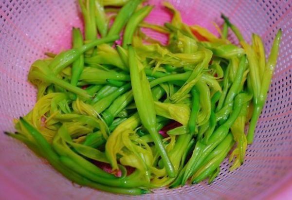 健康美食：談?wù)匋S花菜的多種吃法！