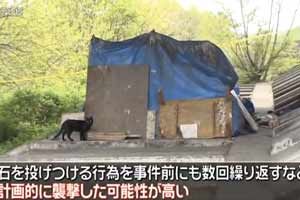 喪盡天良！日本81歲拾荒老人阻止大學(xué)生虐貓后被打死