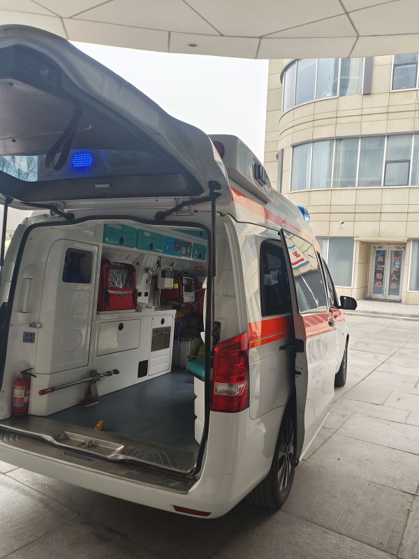龍子湖區(qū)學校體育賽事保障服務-賽事球類運動保障中