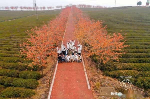 山水相近 運(yùn)動(dòng)為伴 東風(fēng)標(biāo)致獲全國首創(chuàng)“體育+”賽事最佳團(tuán)隊(duì)獎(jiǎng)