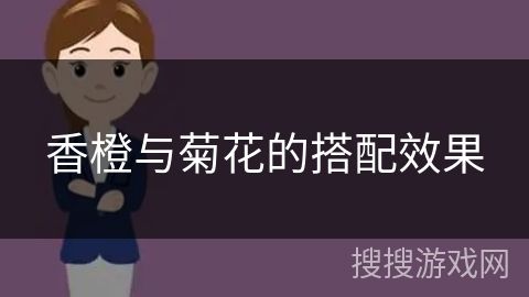 香橙與菊花的搭配效果