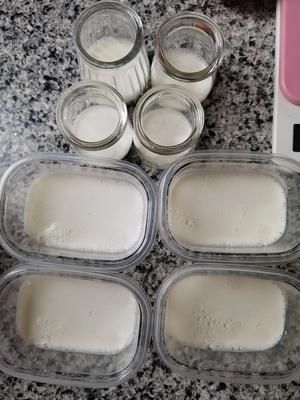 自制果凍的做法 步驟2
