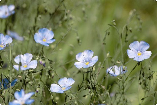 7日瘦身汤合理搭配瘦的更健康